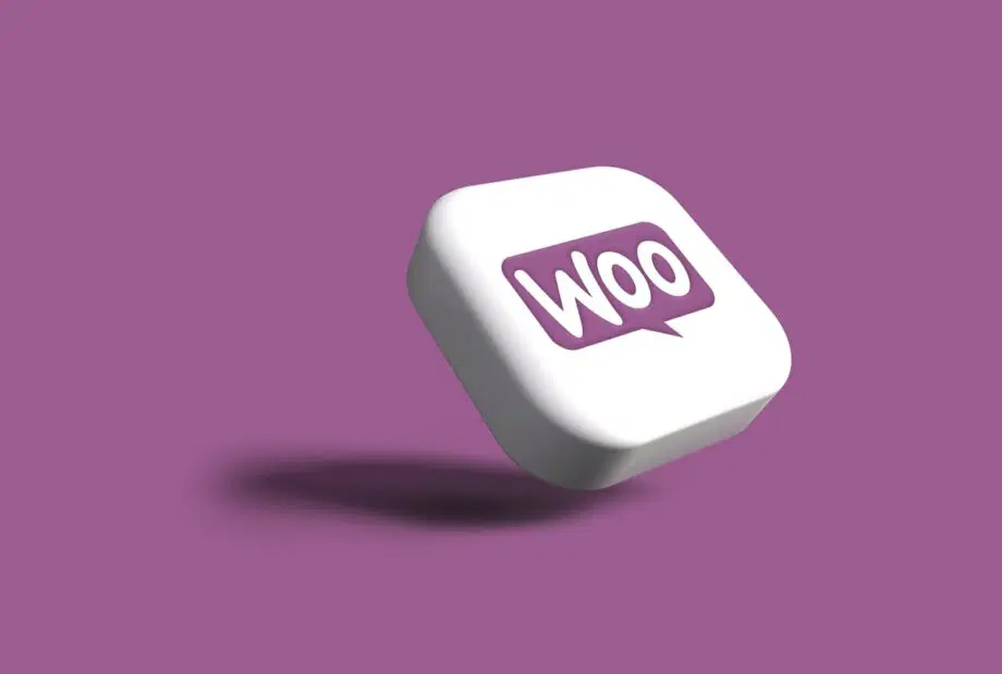 66% des acheteurs à hauts revenus utilisent l'IA pour leurs achats : Une étude WooCommerce souligne un changement significatif des habitudes d'achat